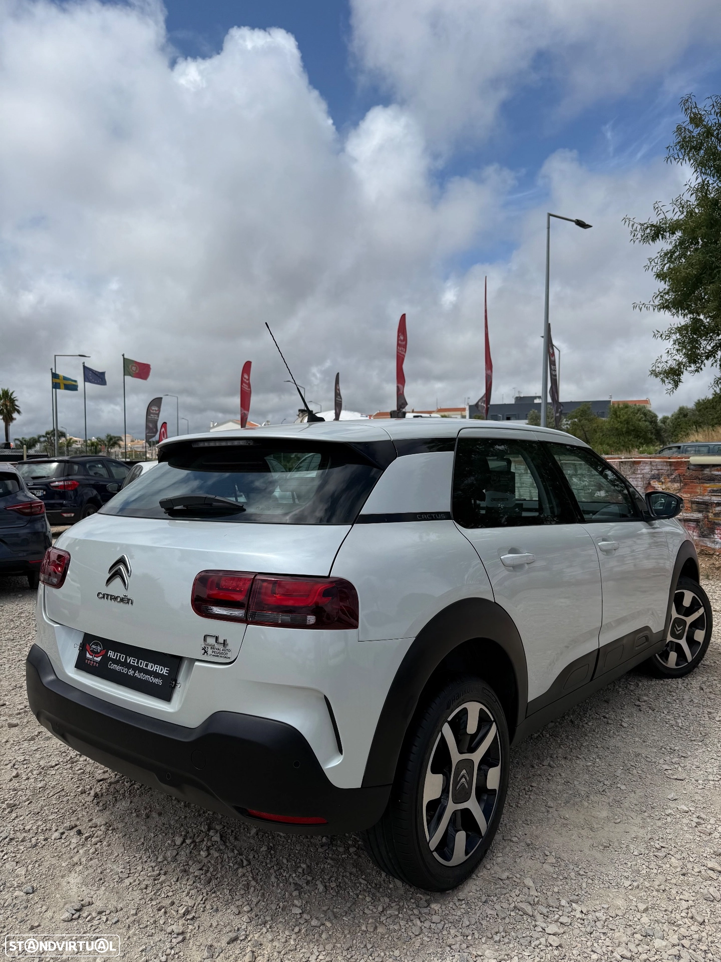 CITROËN CITROËN C4 Cactus 1.2 PureTech Shine (2019)