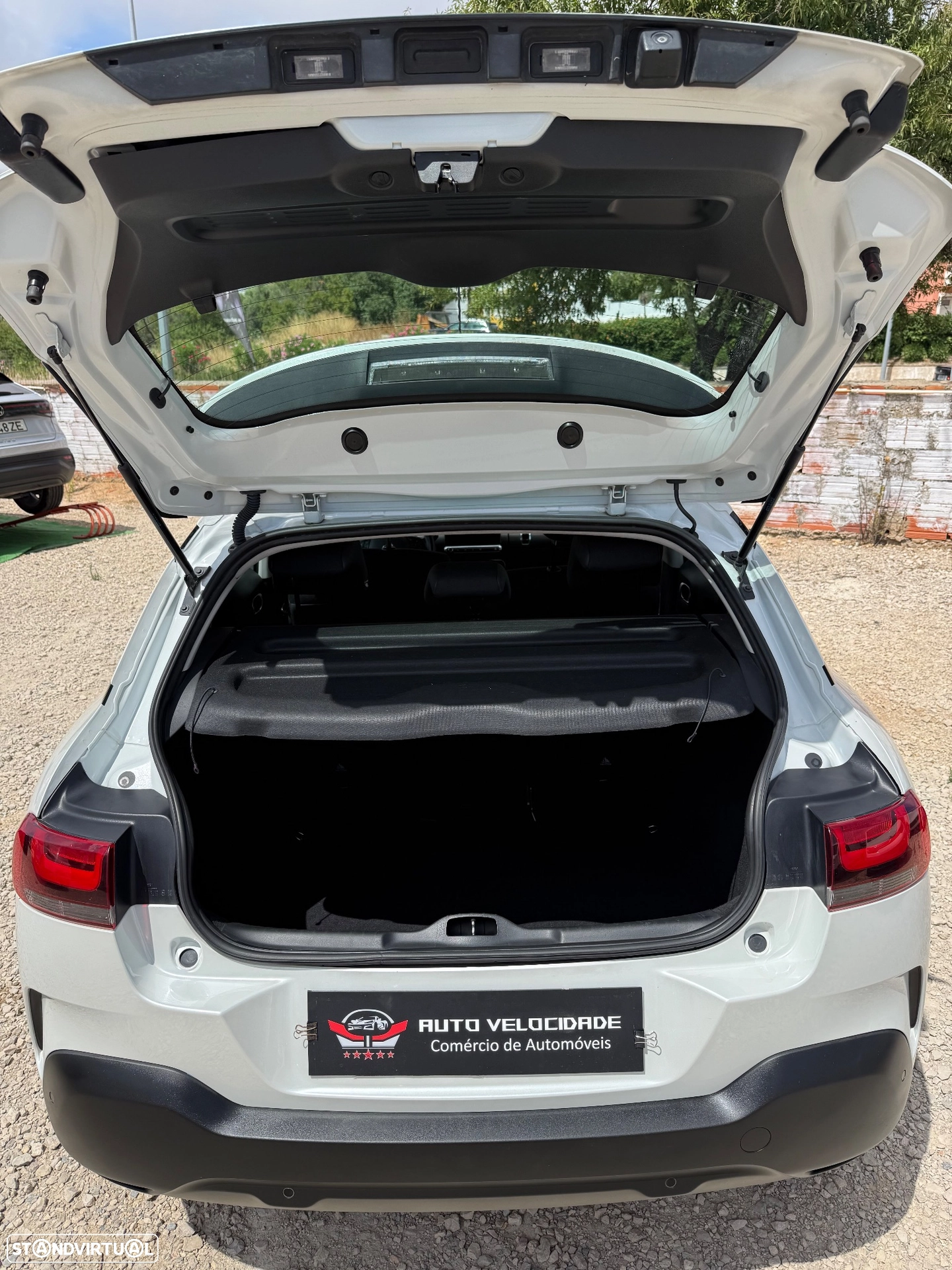 CITROËN CITROËN C4 Cactus 1.2 PureTech Shine (2019)